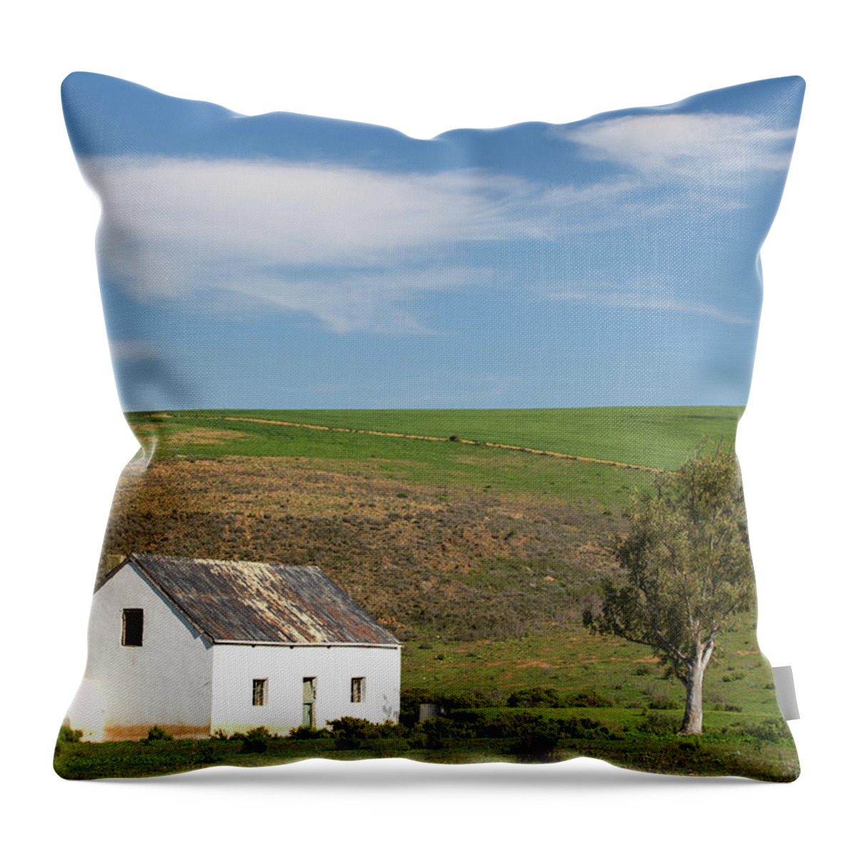 Scenics Throw Pillow featuring the photograph Farm Scene Near Bredarsdorp, Western by Hein Von Horsten