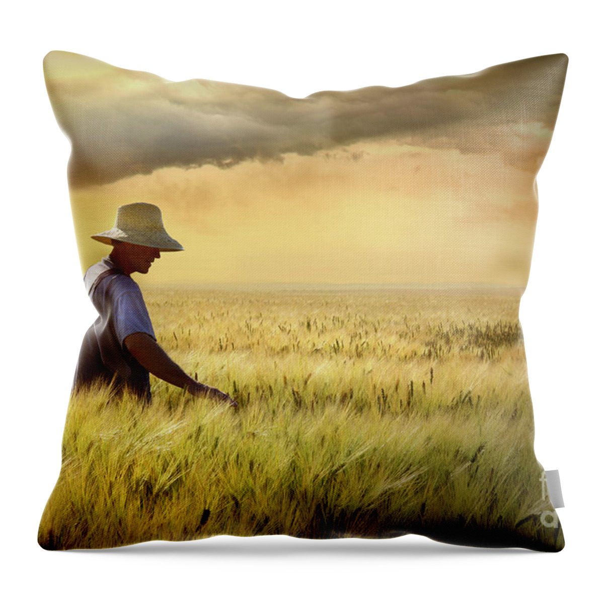 Agricultural Throw Pillow featuring the photograph Farmer checking his crop of wheat by Sandra Cunningham