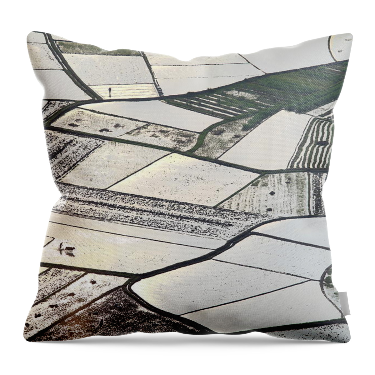 Working Throw Pillow featuring the photograph Farmers Plough Paddy Field by Bihaibo