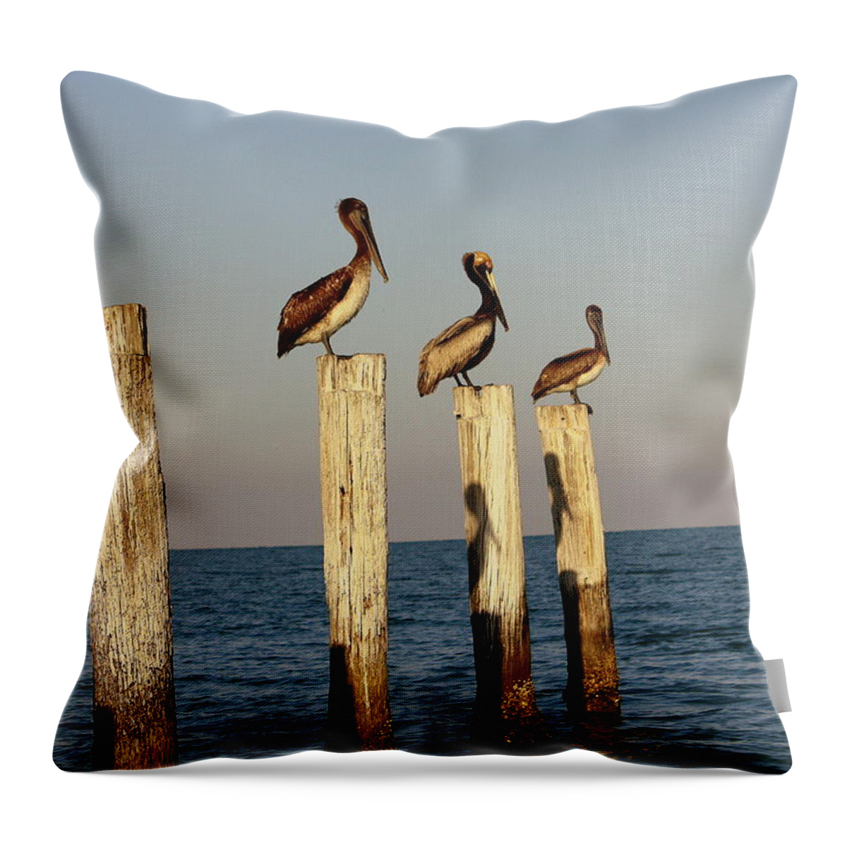 Florida Throw Pillow featuring the photograph Fashionably Late by Andrea Platt