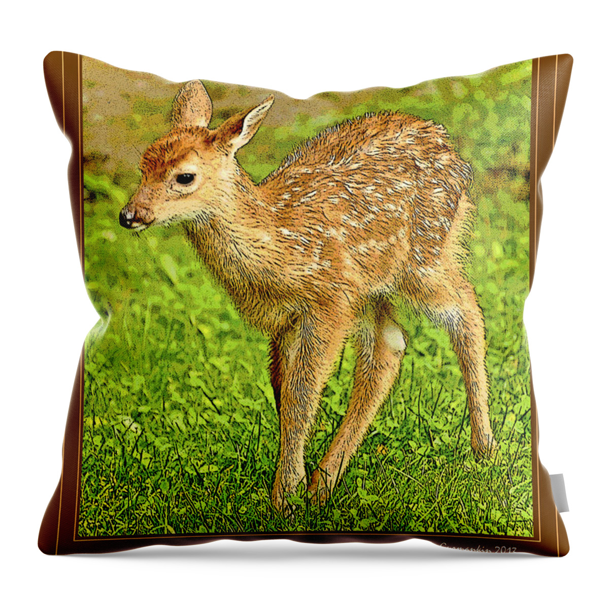 White-tailed Deer Throw Pillow featuring the photograph Fawn Poster Image by A Macarthur Gurmankin