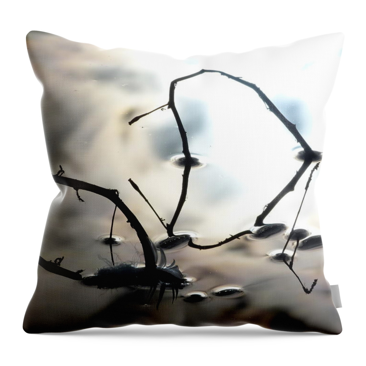 Reflection Throw Pillow featuring the photograph Feather And Branches by Jane Ford