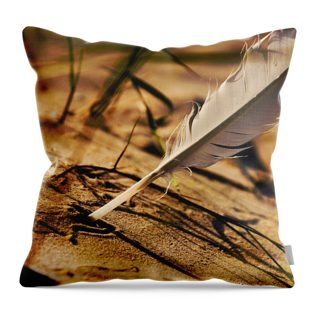 Outdoor Throw Pillow featuring the photograph Feather And Sand by Raimond Klavins