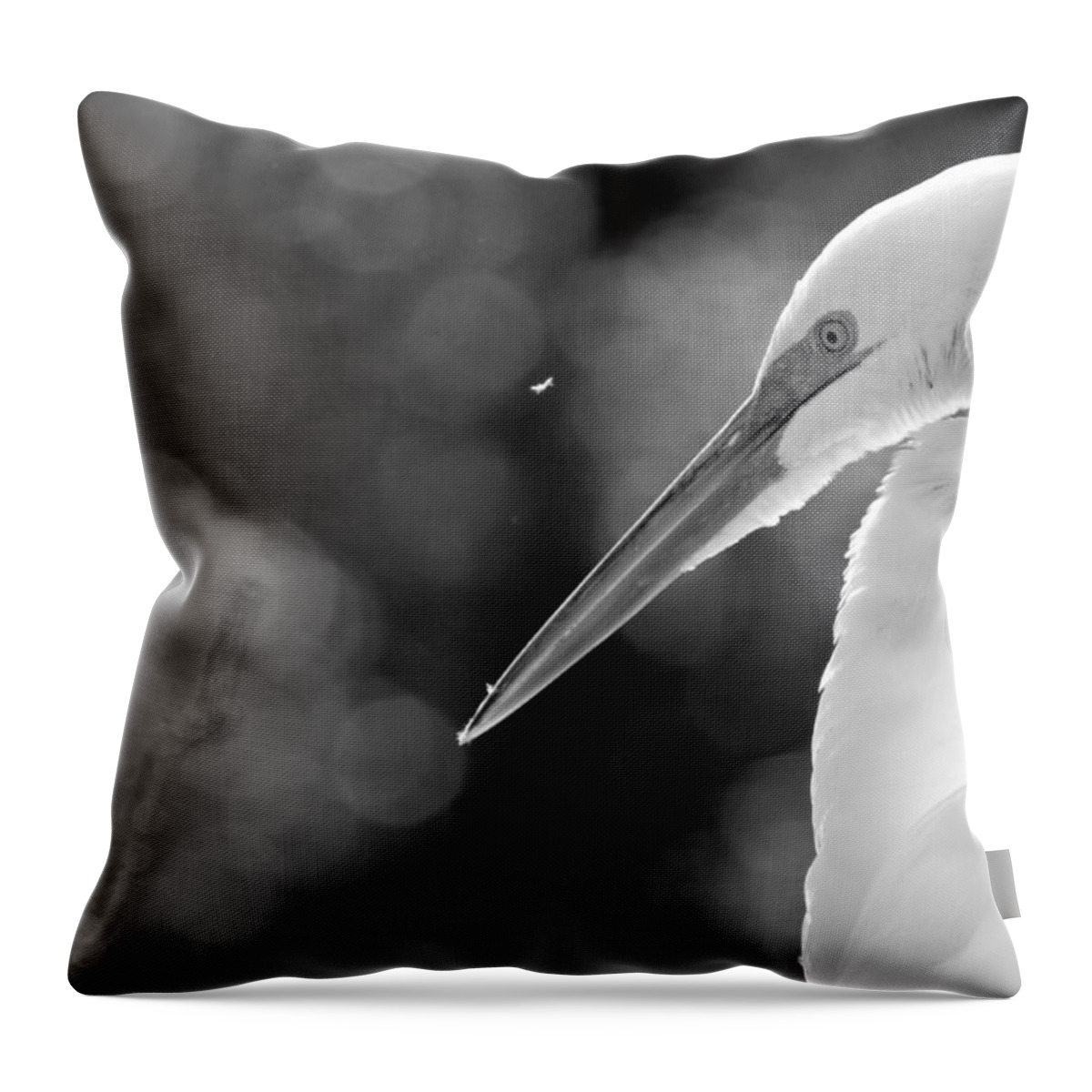 Egret Throw Pillow featuring the photograph Feather fly away by Jessica Brown