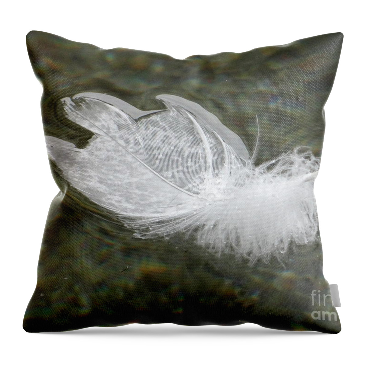 Beautiful White And Grey Feather In Water With Stones. Throw Pillow featuring the photograph Feather in the water by Karin Ravasio