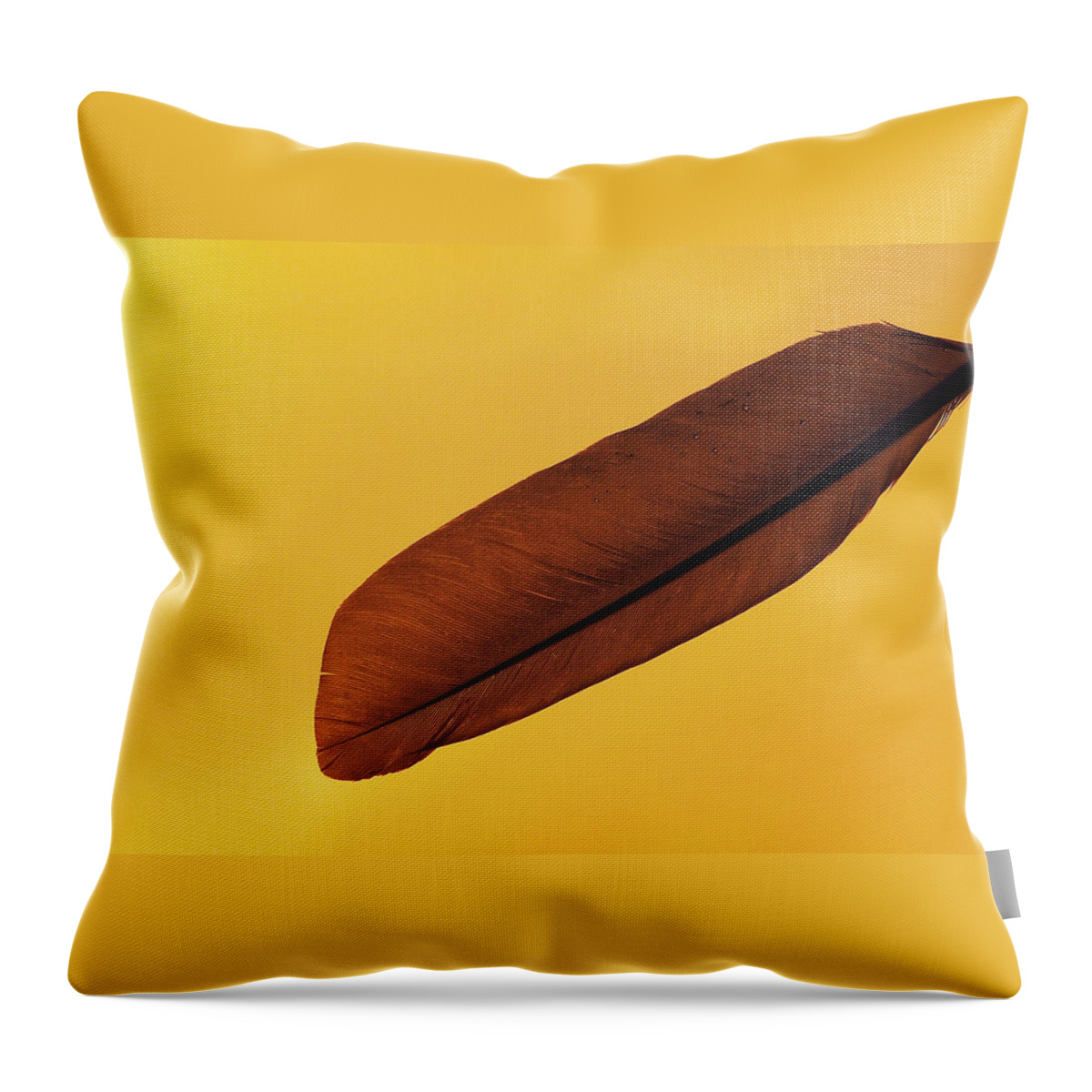 Photograph Throw Pillow featuring the photograph Feather by Larah McElroy