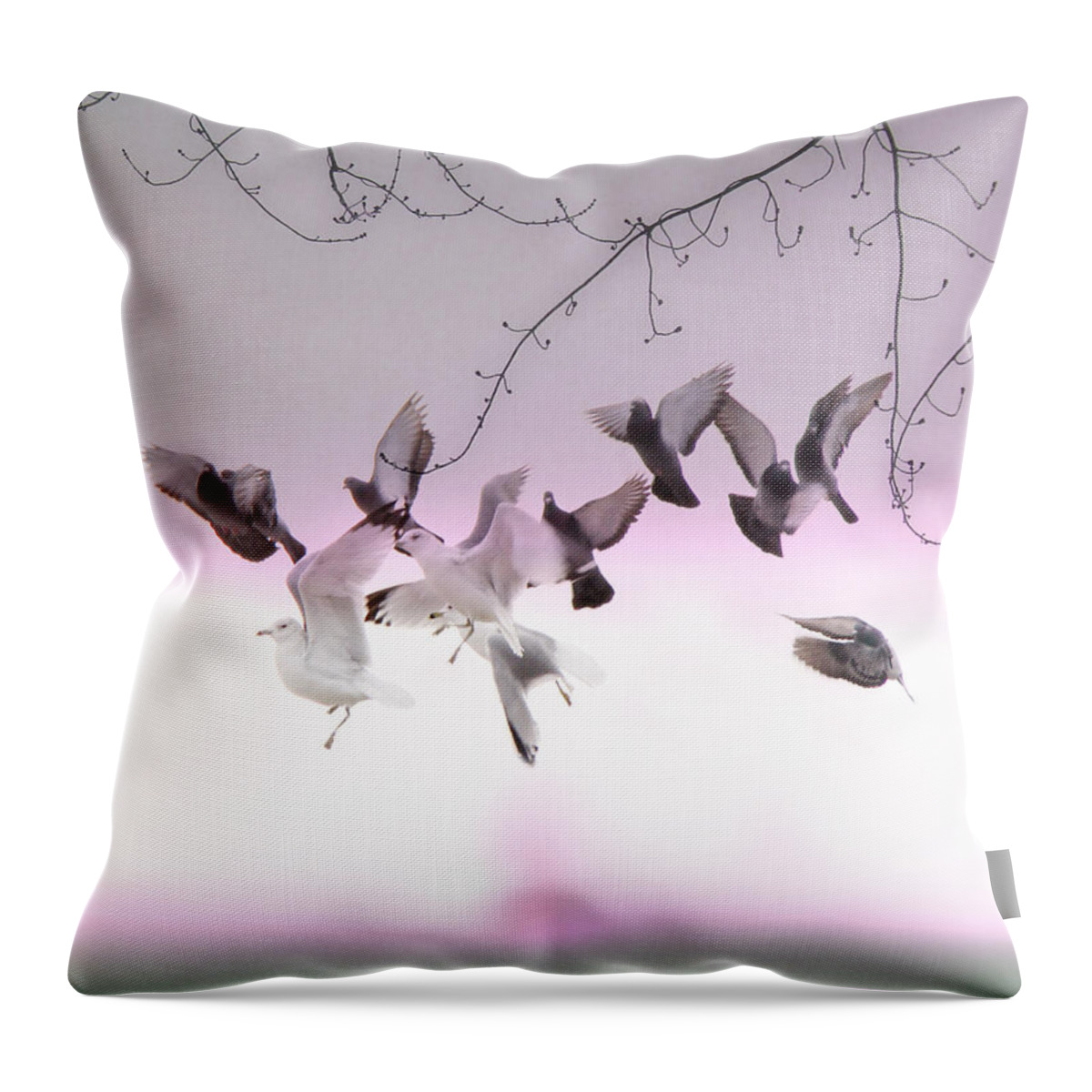 Pigeons Throw Pillow featuring the photograph Feather Light by Gothicrow Images