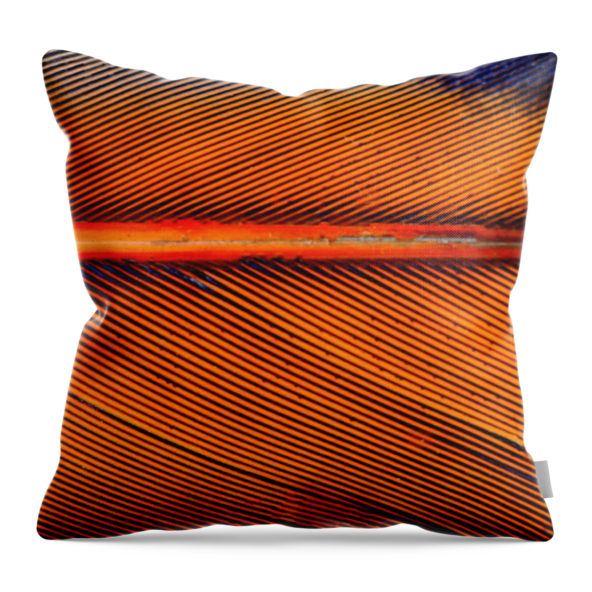 Hdr Throw Pillow featuring the photograph Feather of a Flicker by Scott Carlton