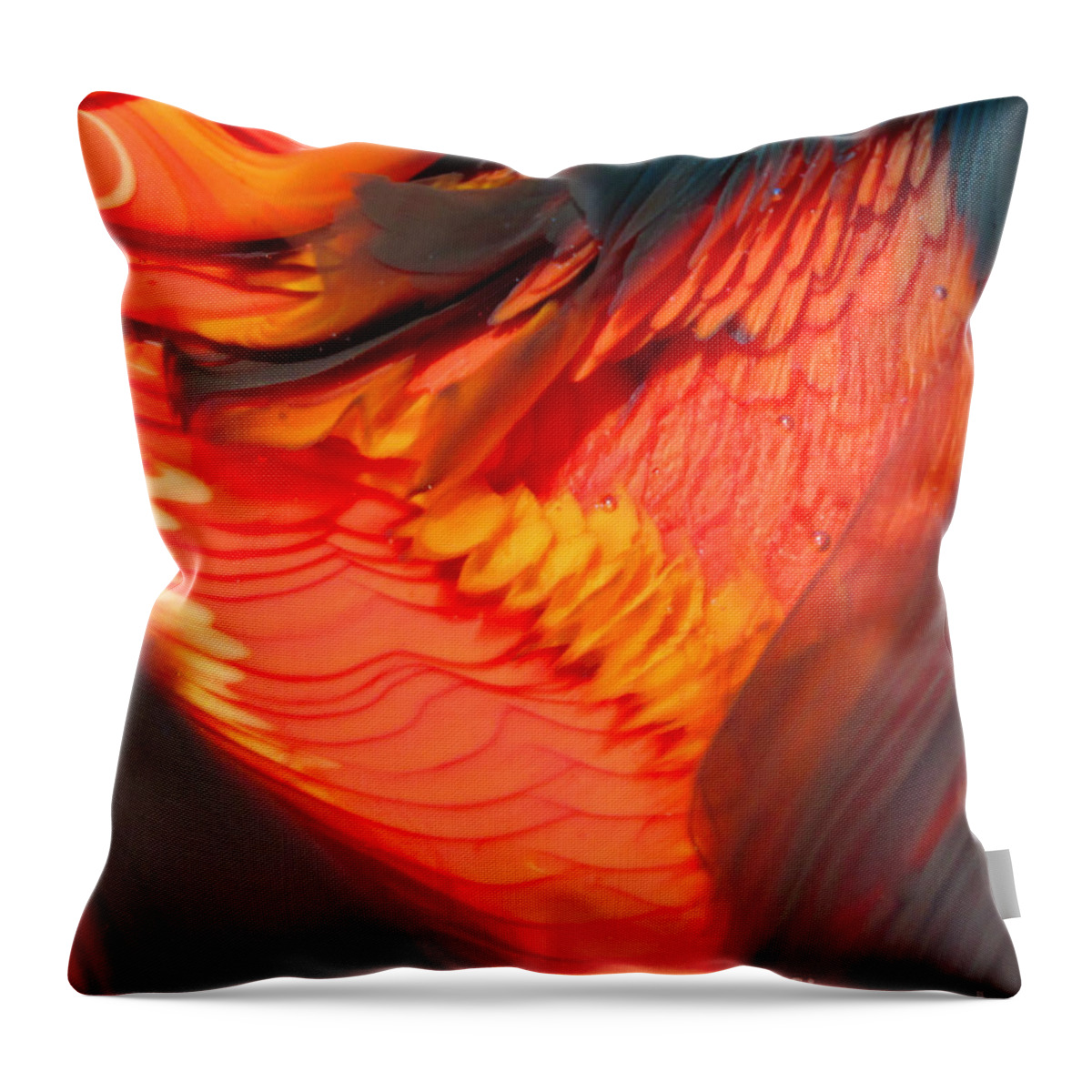 Glass Art Throw Pillow featuring the photograph Feathers and Scales by Kimberly Lyon