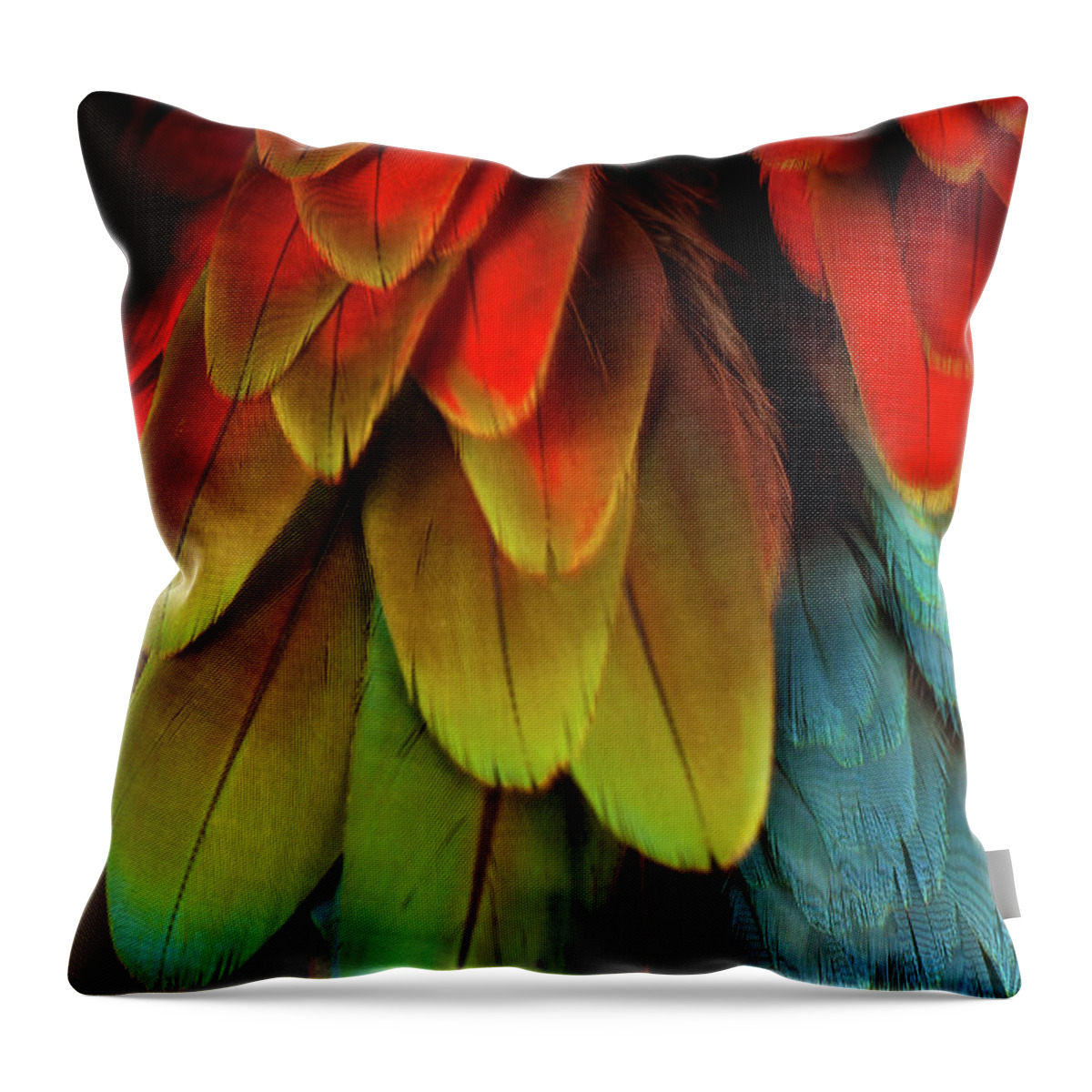 Animal Themes Throw Pillow featuring the photograph Feathers On A Scarlet Macaw by Tim Platt