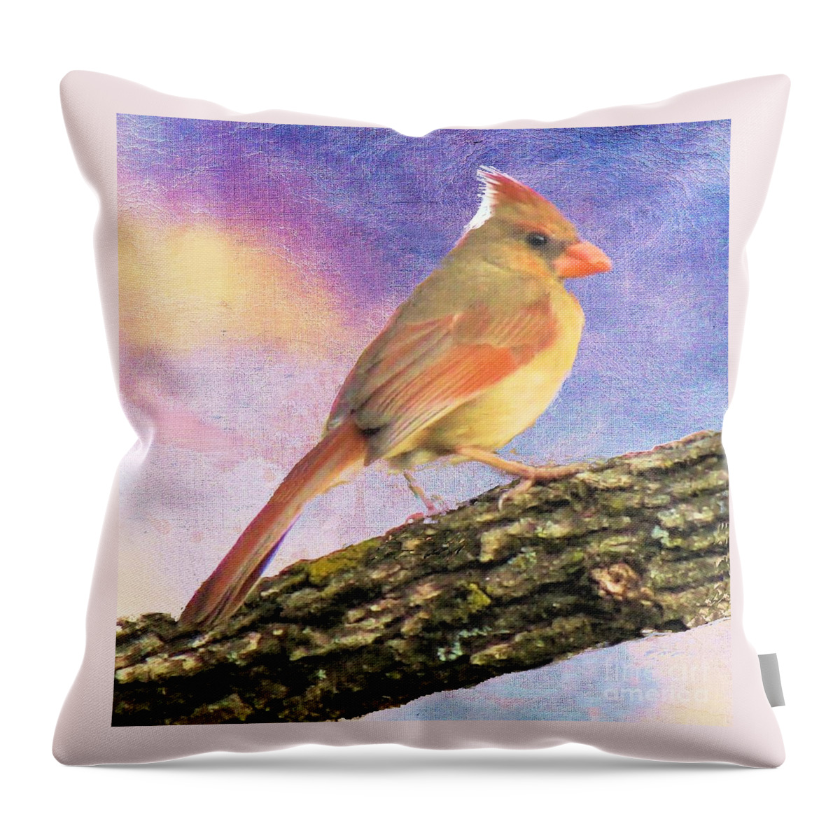 Bird Throw Pillow featuring the photograph Female Cardinal Away From Sun by Janette Boyd