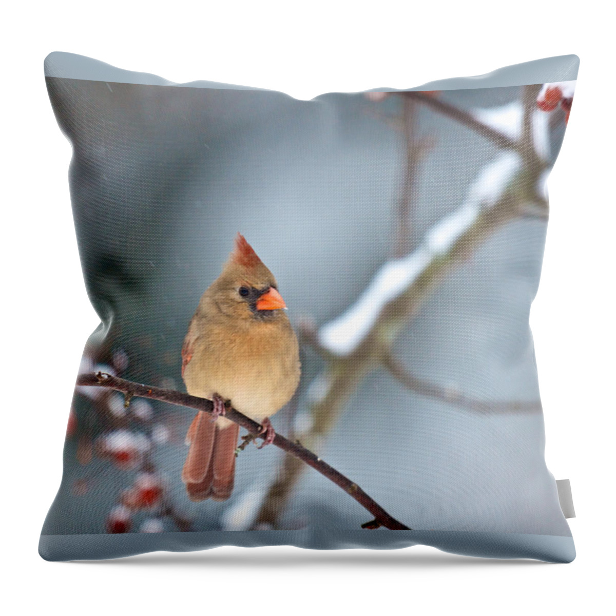 Birds Throw Pillow featuring the photograph Female Cardinal on Cherry Tree in Snow by Kristin Hatt