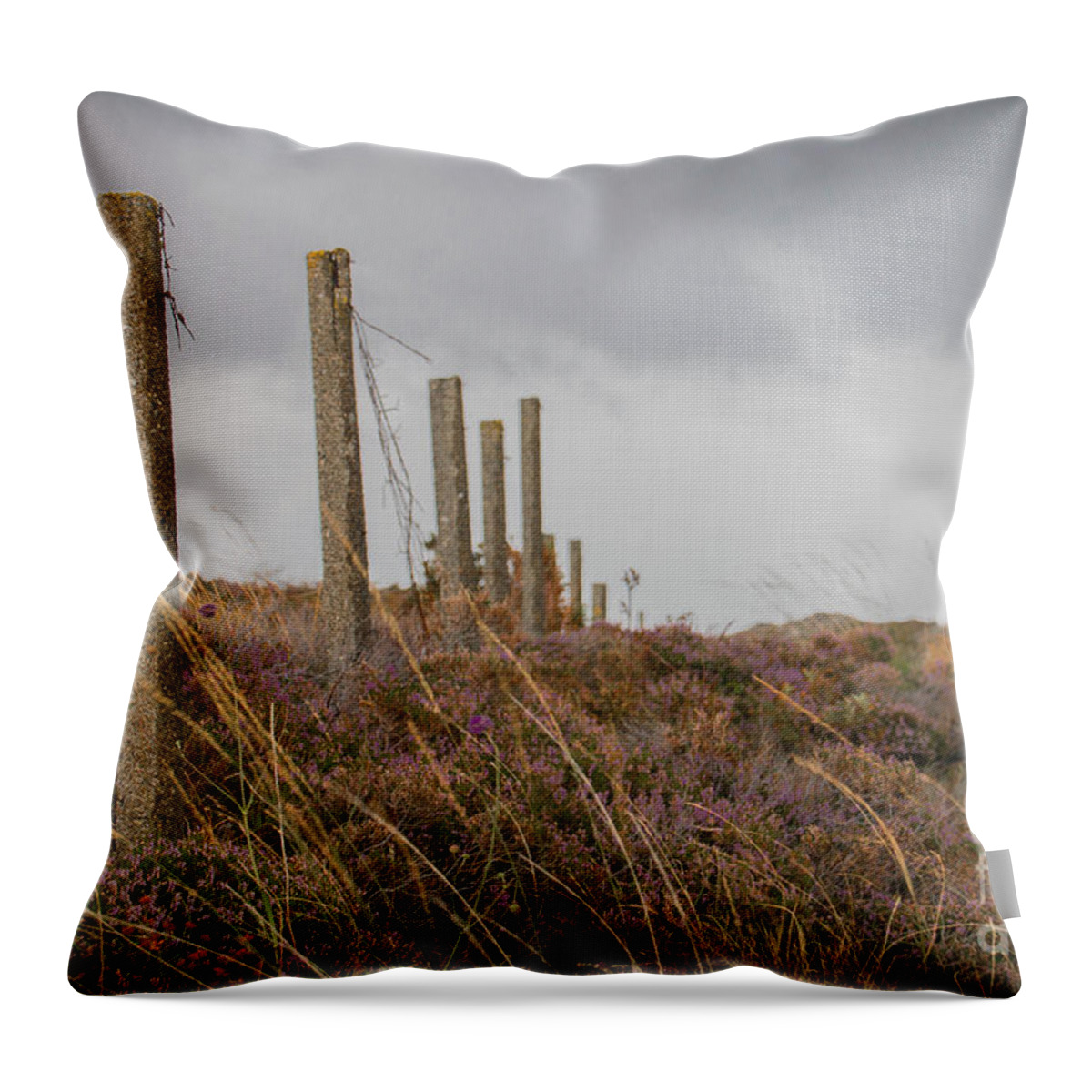 Fireweed Throw Pillow featuring the photograph Fence in the storm in Norway by Amanda Mohler