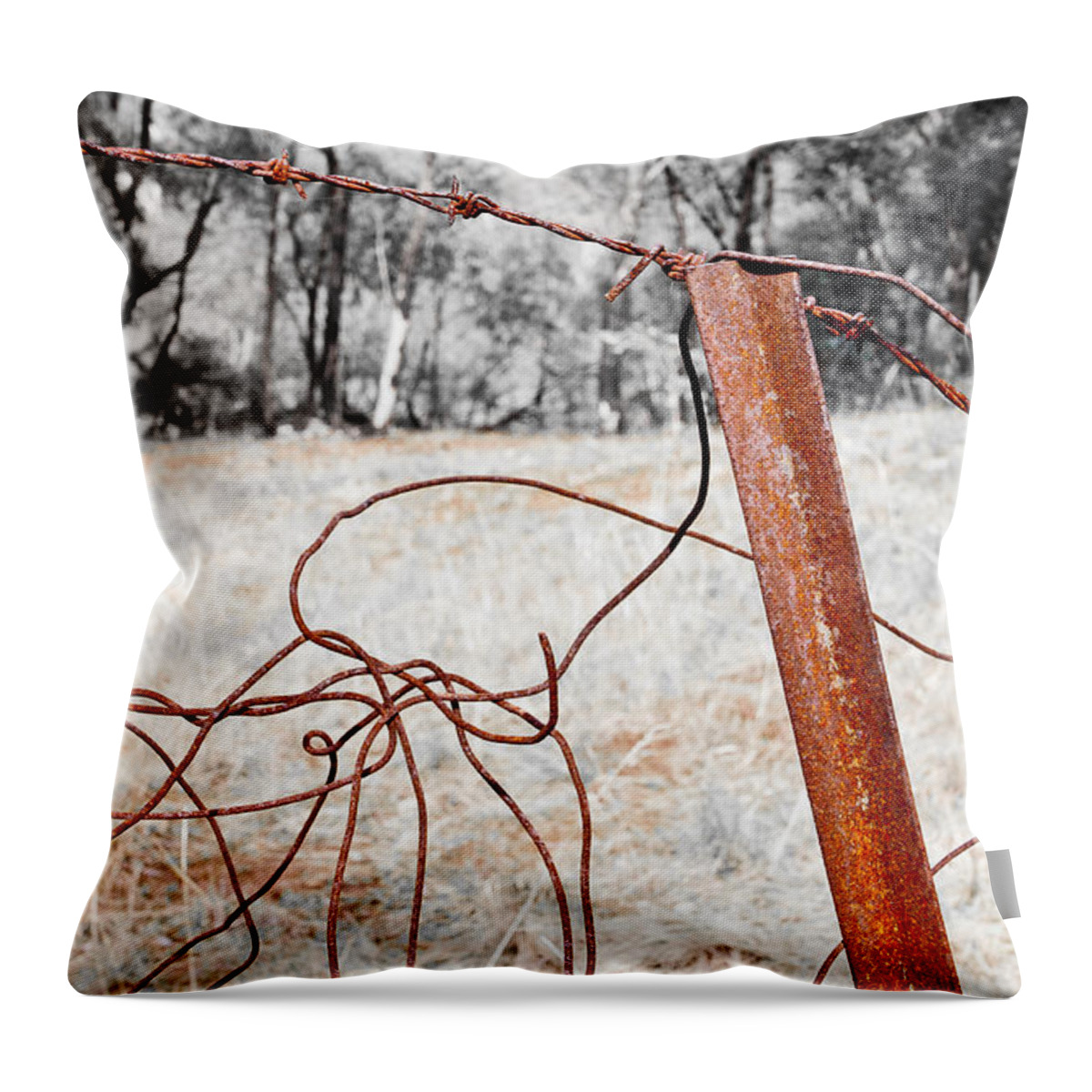 Australia Throw Pillow featuring the photograph Fence by Steven Ralser