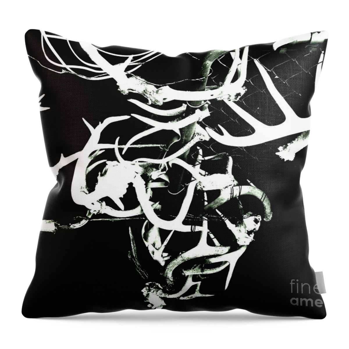 Deer Antlers. Fence. Black And White Throw Pillow featuring the photograph Fenced Antler by Amy Sorrell