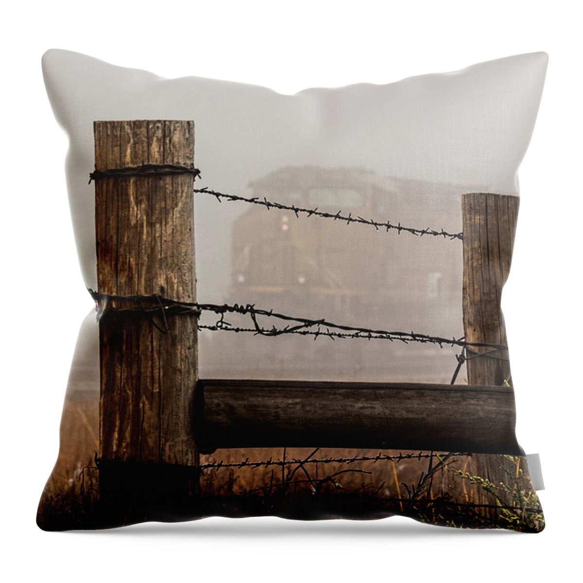 2014 September Throw Pillow featuring the photograph Fenced In by Bill Kesler