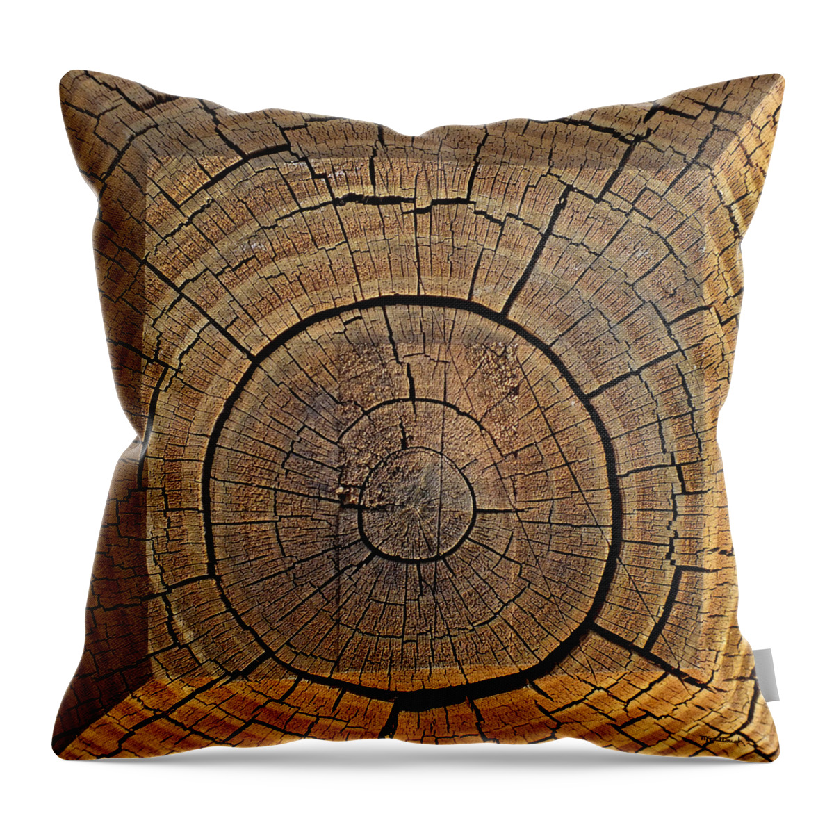 Wood Throw Pillow featuring the photograph Fencepost Top 1 by Duane McCullough