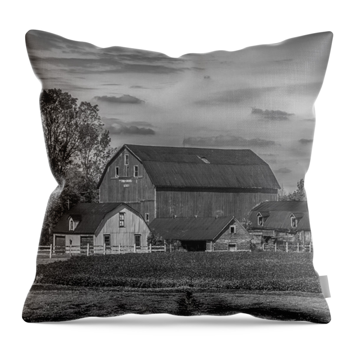 Barn Throw Pillow featuring the photograph Fenwick Barn 7K02210b by Guy Whiteley