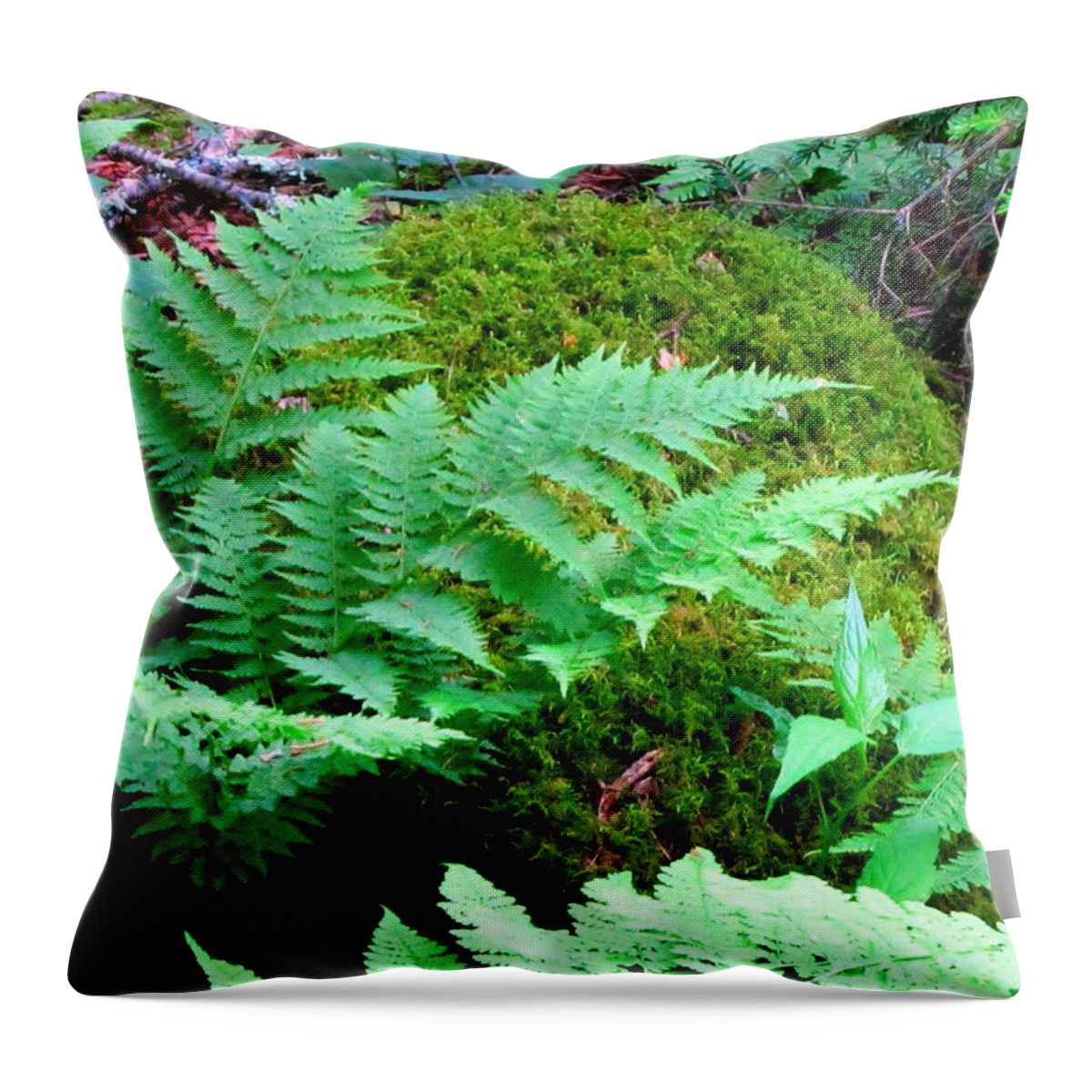 Fern Throw Pillow featuring the photograph Fern and Moss by Cynthia Clark
