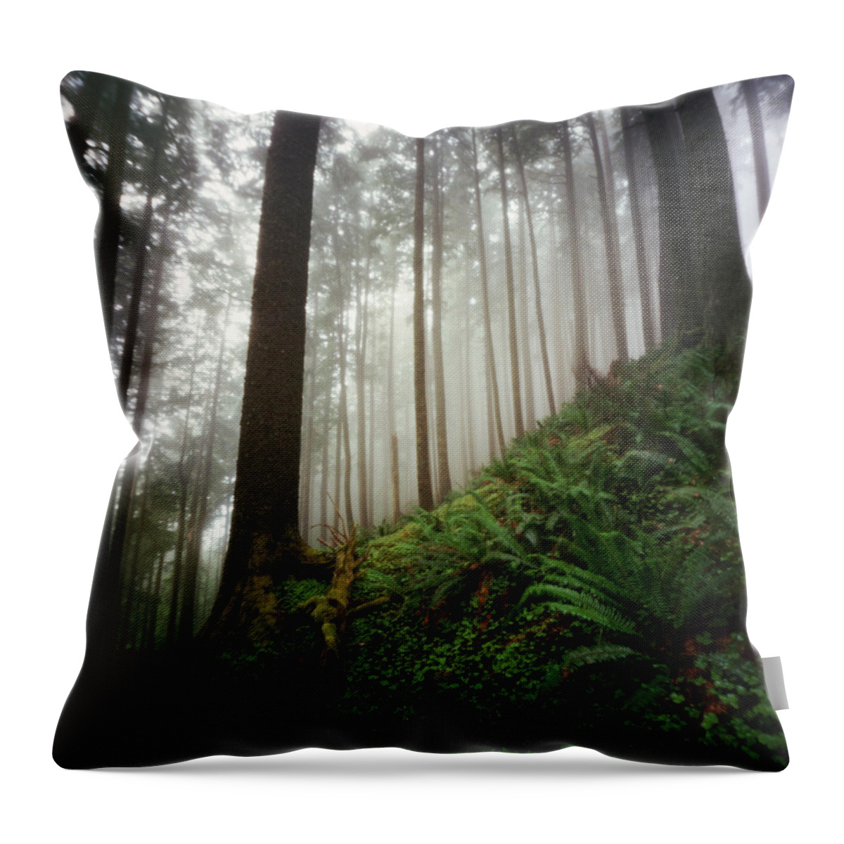 Scenics Throw Pillow featuring the photograph Ferns And Fog In A Lush Forest by Danielle D. Hughson