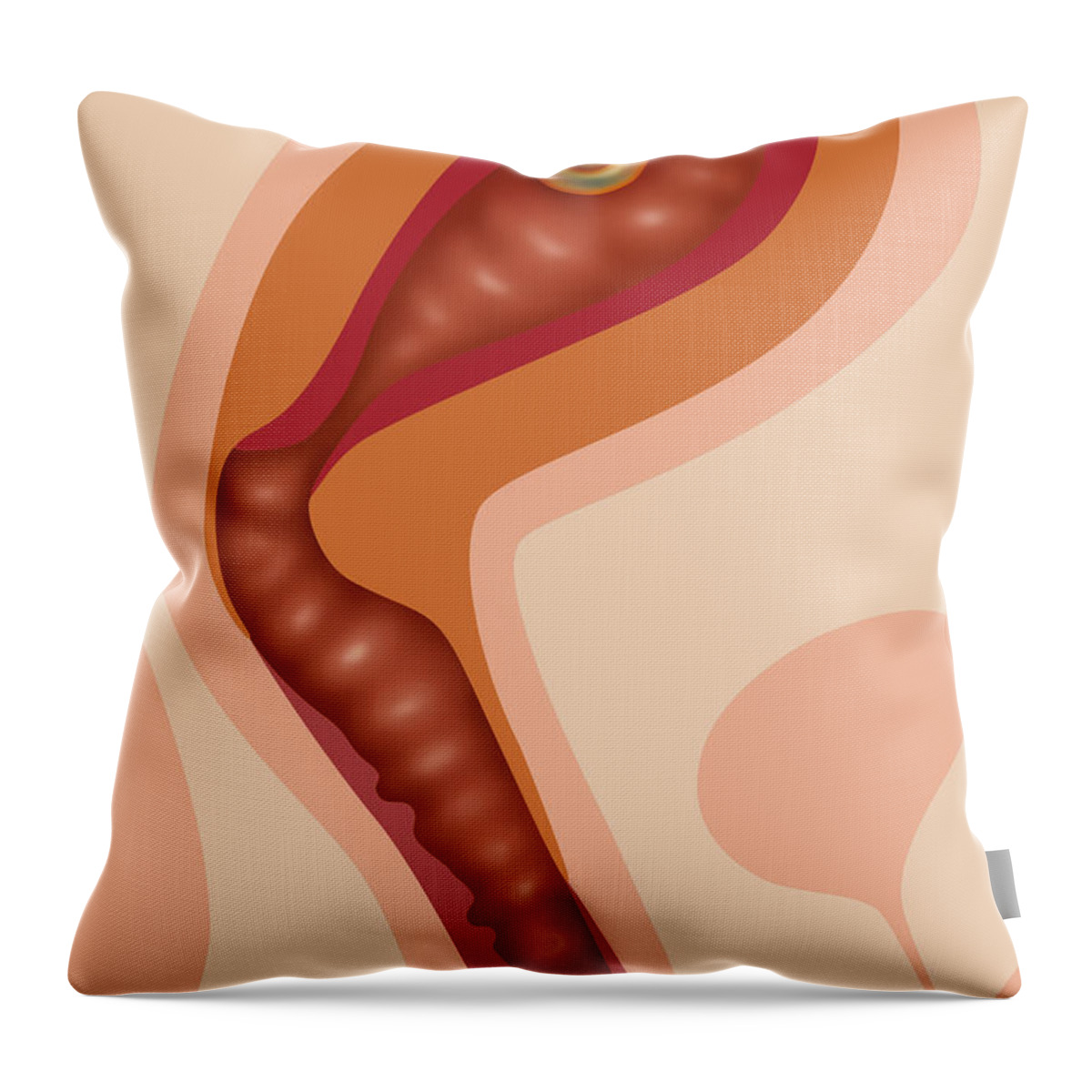 Illustration Throw Pillow featuring the photograph Fetal Growth - Month 1 by Gwen Shockey