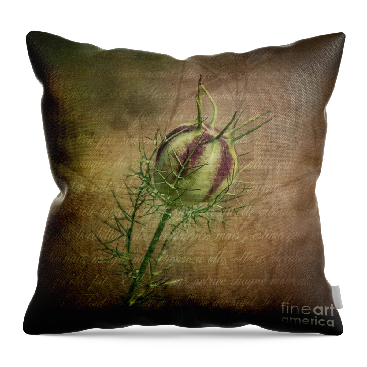 Poppy Throw Pillow featuring the photograph Fey Poppy Magic by Terry Rowe