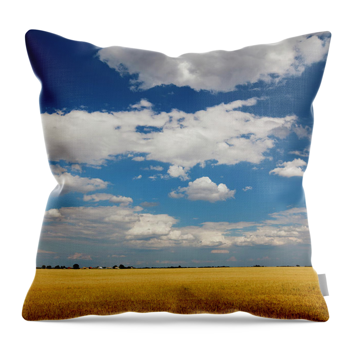 Scenics Throw Pillow featuring the photograph Field by Gosiek-b