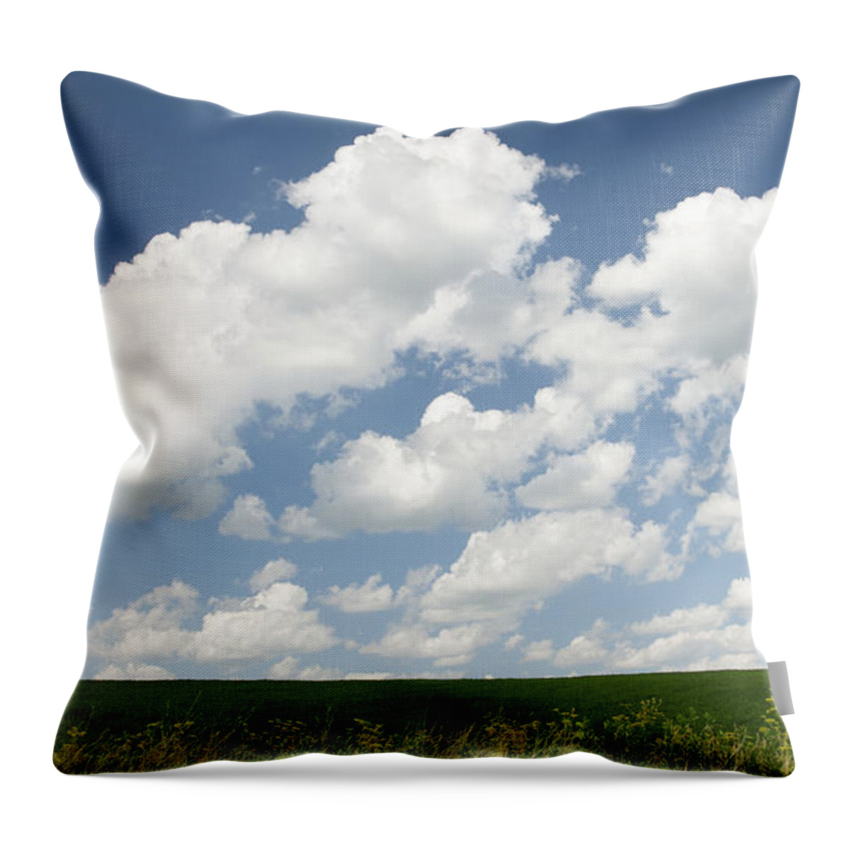 Cloudscape Throw Pillow featuring the photograph Field of dreams by Elvira Butler