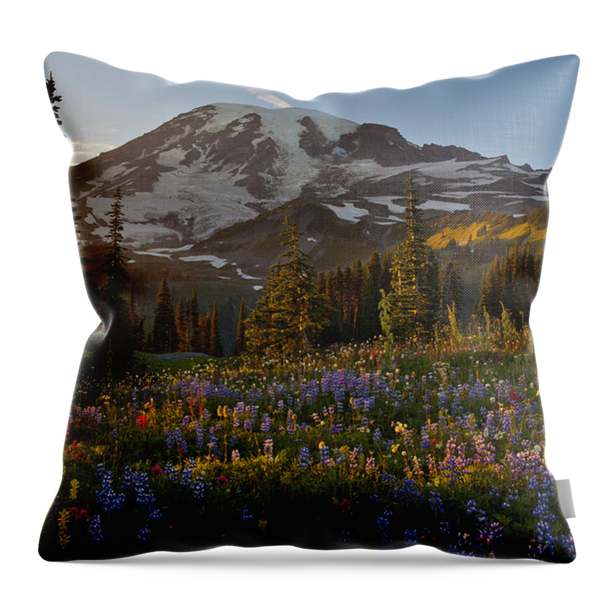  Mount Rainier Throw Pillow featuring the photograph Field of Dreams by Mike Reid