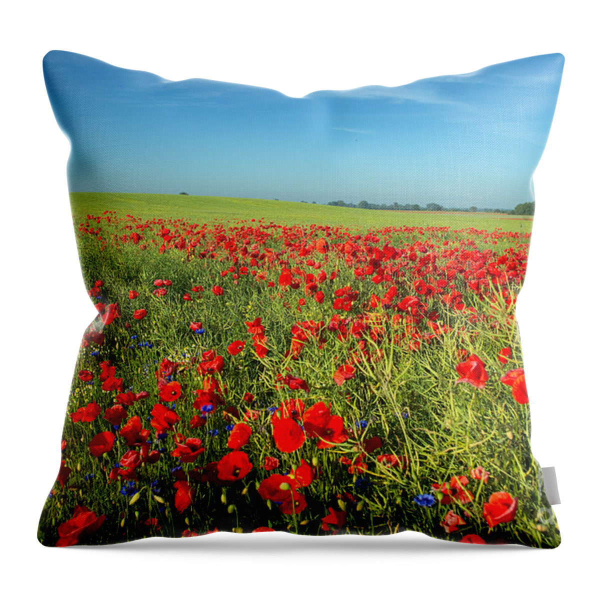 Corn Poppy Throw Pillow featuring the photograph Field Of Poppies Germany by Helmut Pieper