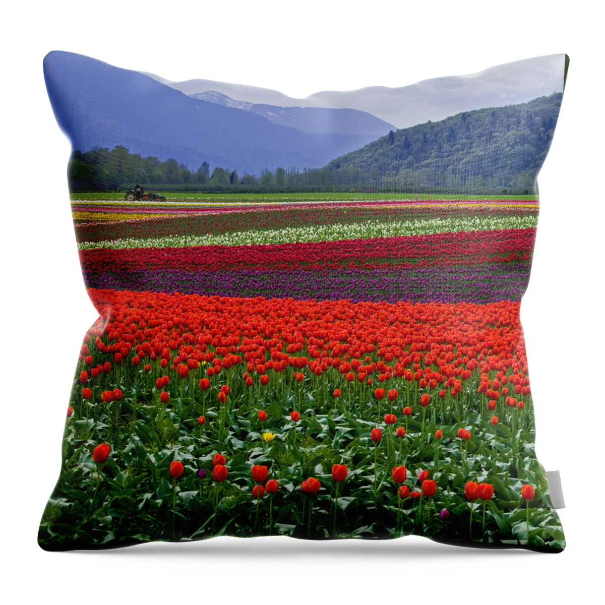 Field Of Tulips Throw Pillow featuring the photograph Field of Tulips by Jordan Blackstone