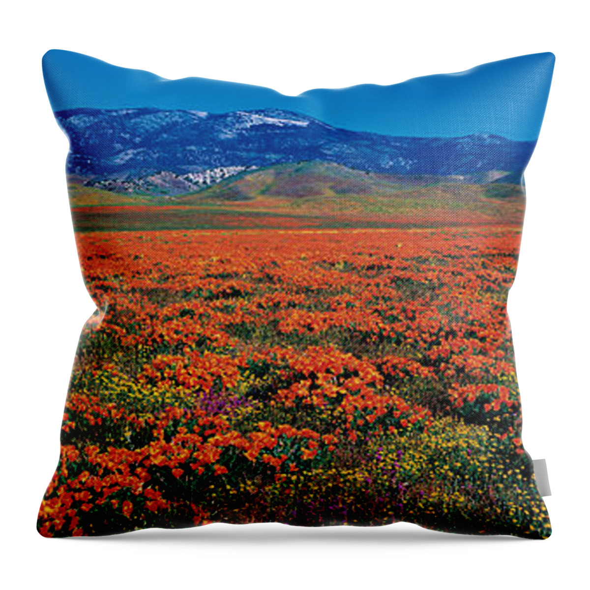Photography Throw Pillow featuring the photograph Field, Poppy Flowers, Antelope Valley by Panoramic Images