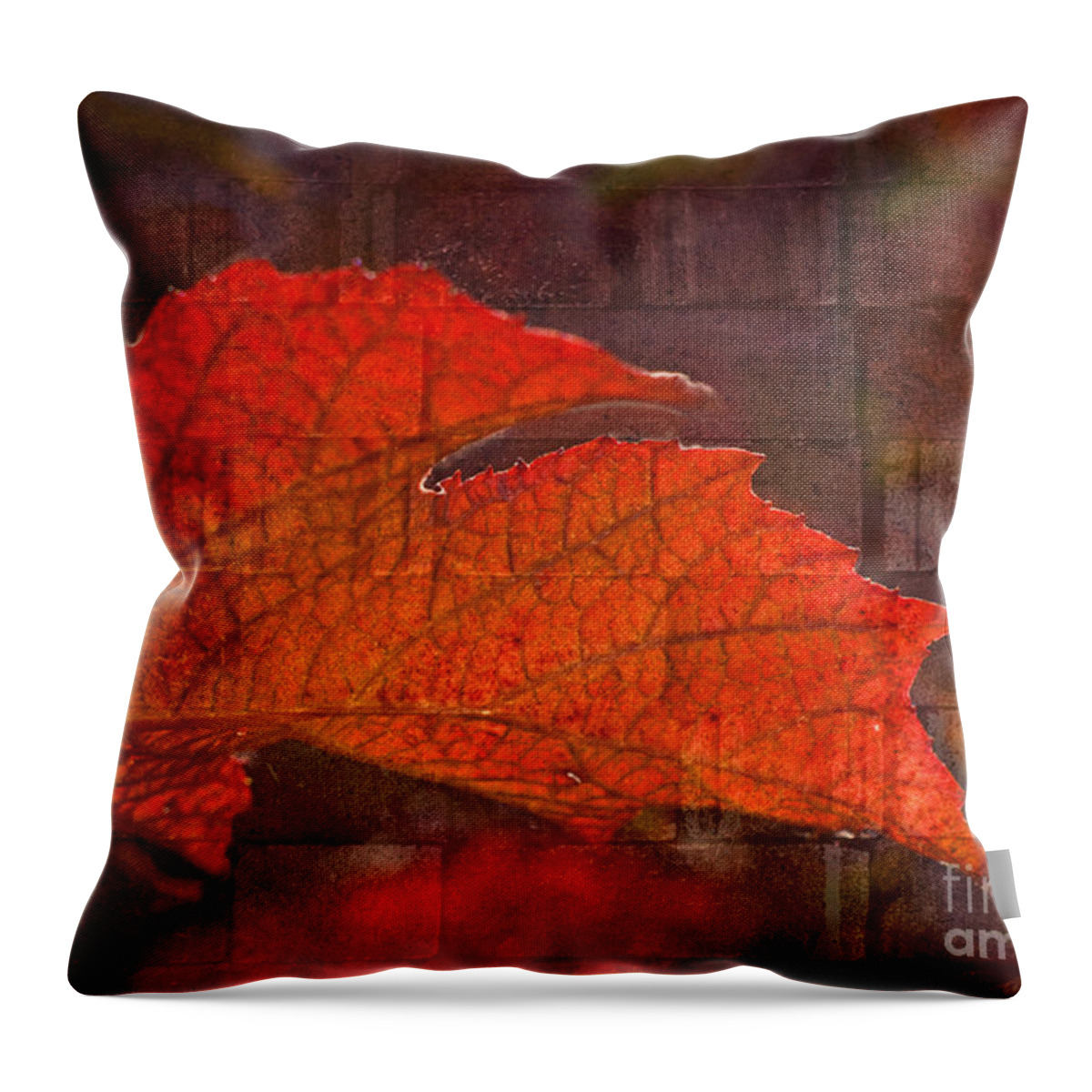 Leaf Throw Pillow featuring the photograph Fiery Wall by Valerie Fuqua