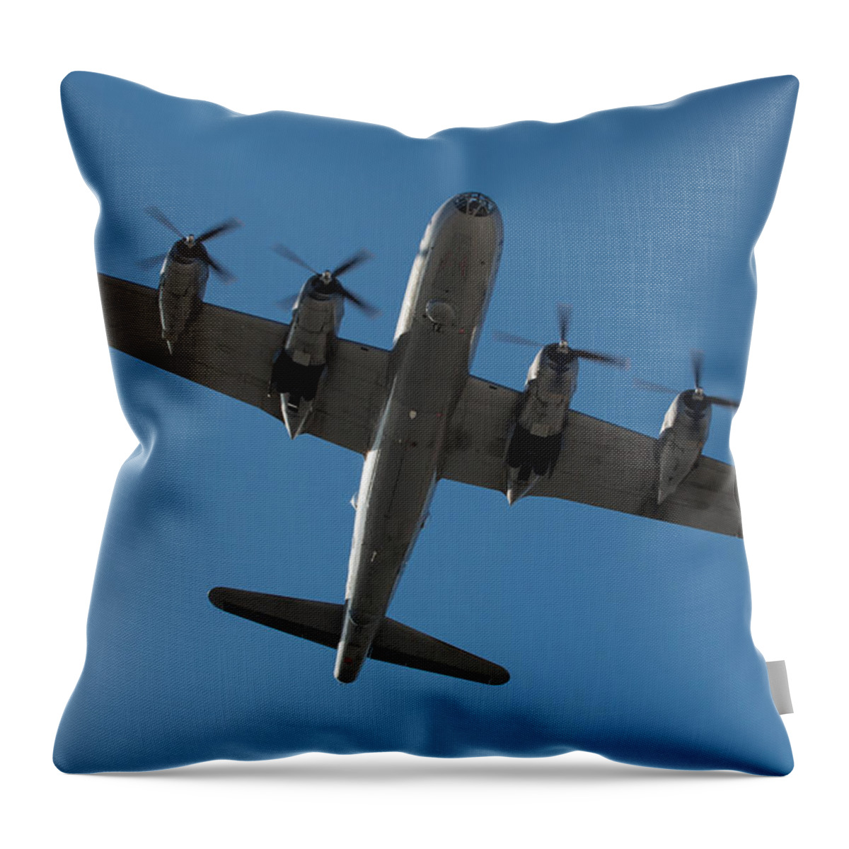 Fifi Throw Pillow featuring the photograph Fifi Overhead by John Daly
