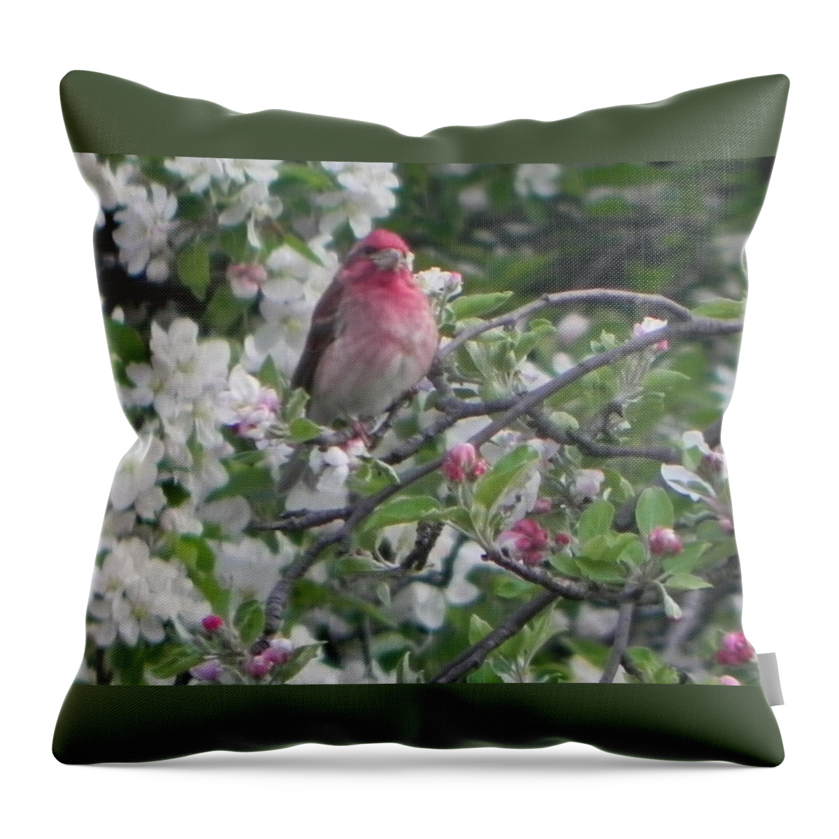 Birds Throw Pillow featuring the painting Finch in Apple Tree by Christine Lathrop