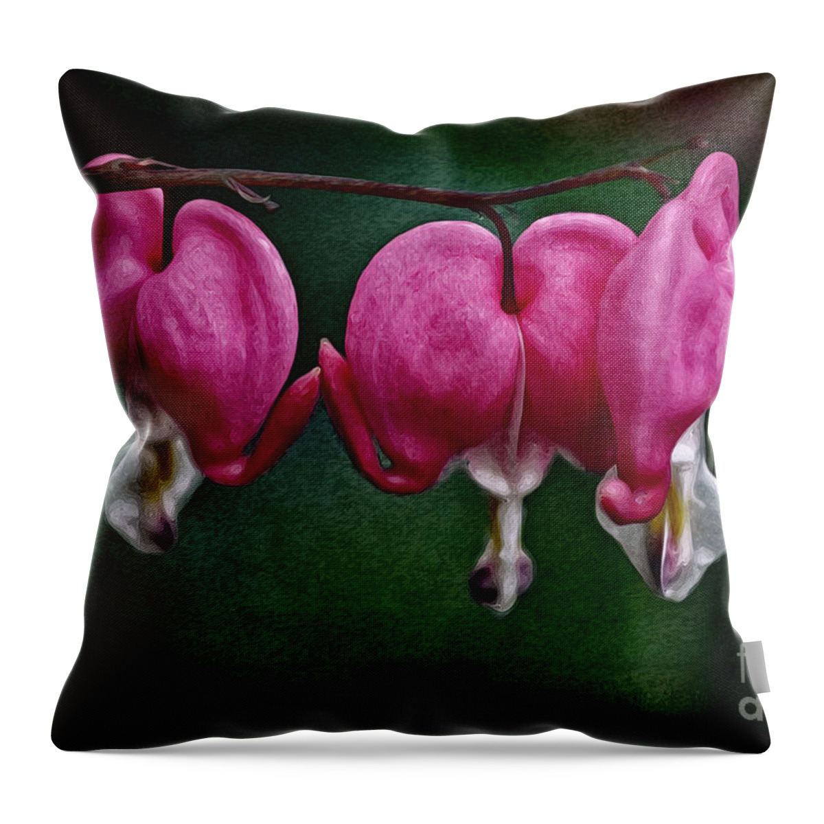 Find Your Heart Throw Pillow featuring the photograph Find Your Heart by Mary Machare