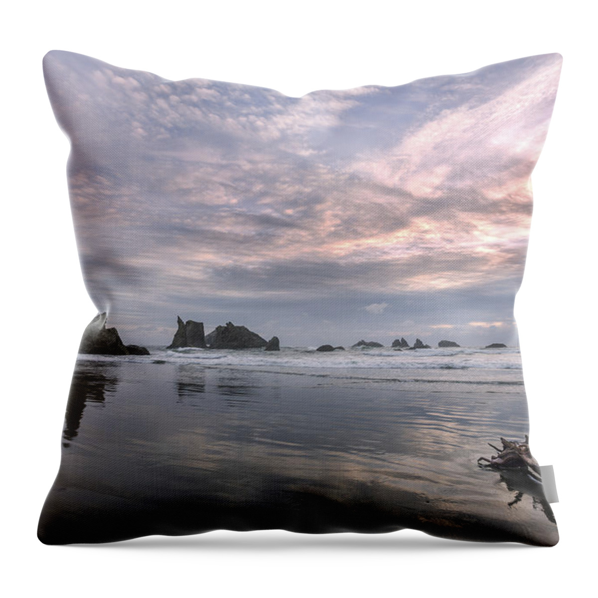 Art Throw Pillow featuring the photograph Finding Reflections by Jon Glaser