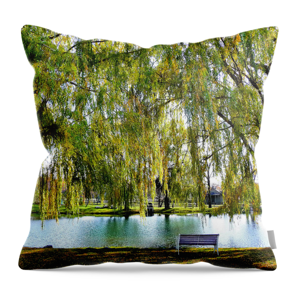 Finger Lakes Throw Pillow featuring the photograph Finger Lakes Weeping Willows by Mitchell R Grosky