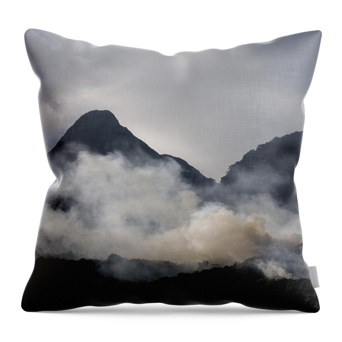 Feb0514 Throw Pillow featuring the photograph Fire Used To Herd Cattle Andes Mts by Pete Oxford