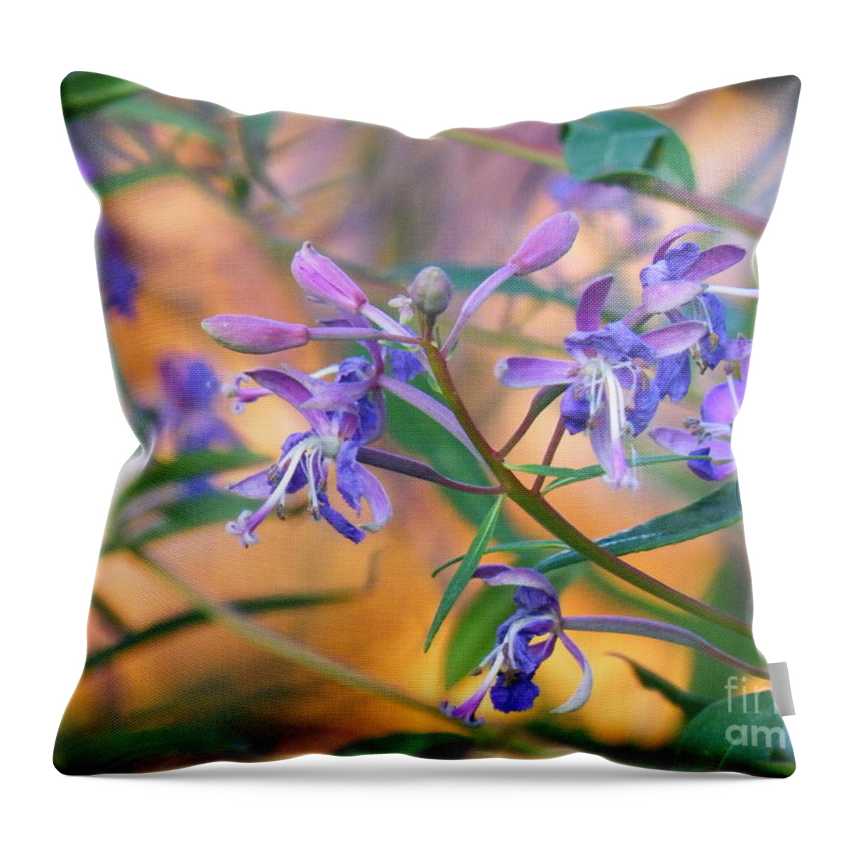 Fireweed Number Three Throw Pillow featuring the photograph Fireweed number three by Brian Boyle