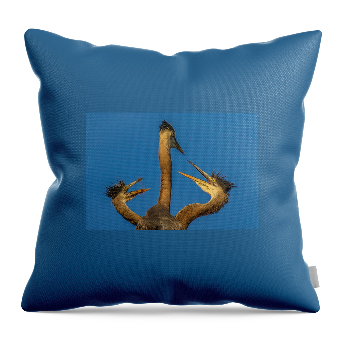 Great Blue Herons Throw Pillow featuring the photograph First Come-First Serve by Kevin Dietrich