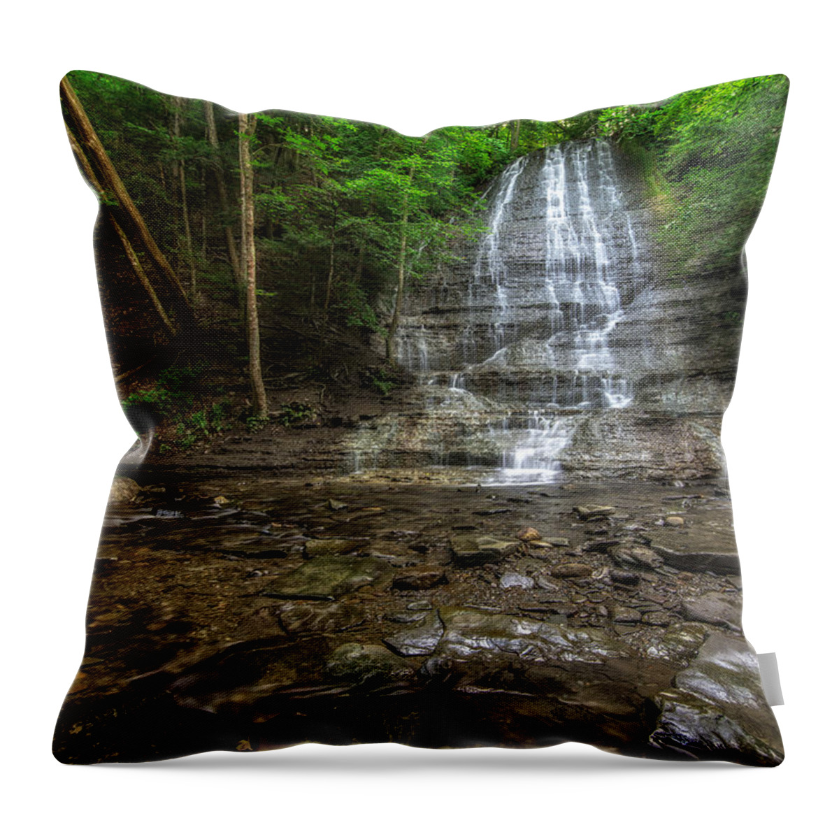 Natural Throw Pillow featuring the photograph First Falls Grimes Glen by Mark Papke