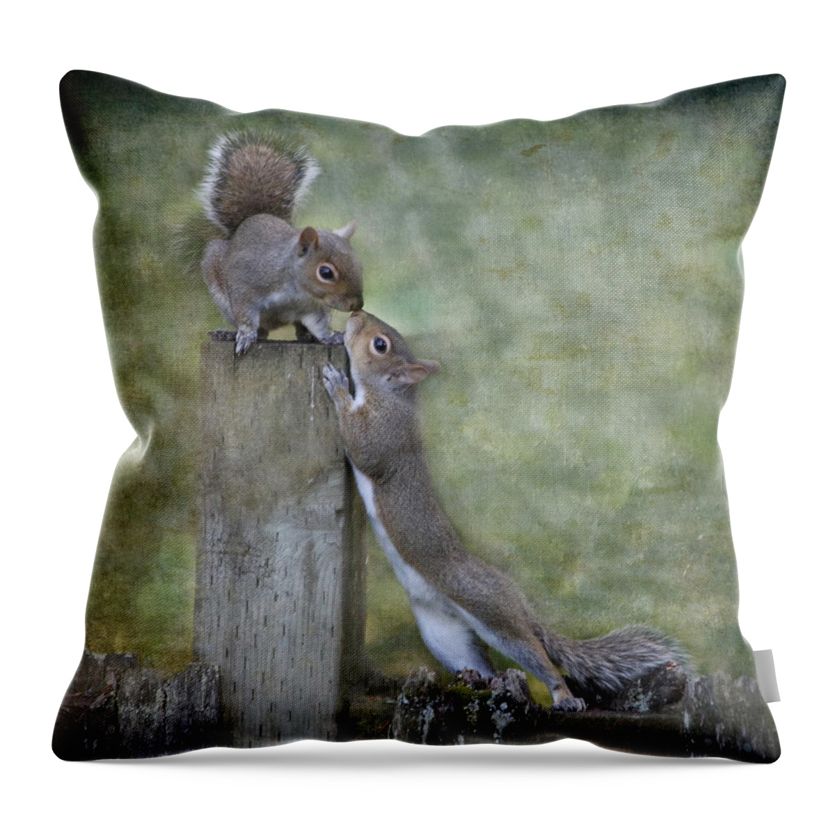 Squirrel Throw Pillow featuring the photograph First Kiss by Angie Vogel