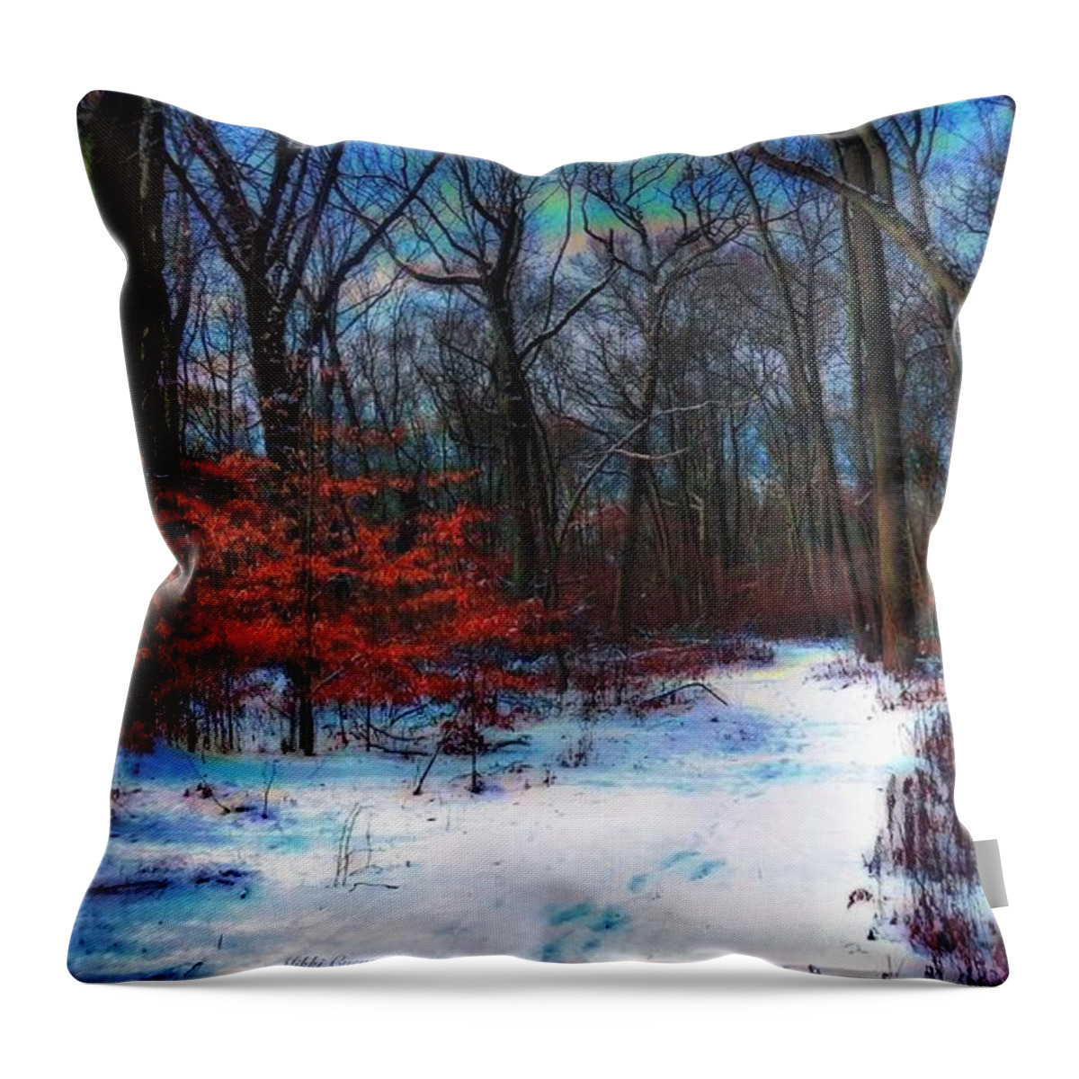Woods Throw Pillow featuring the photograph First Snow by Mikki Cucuzzo