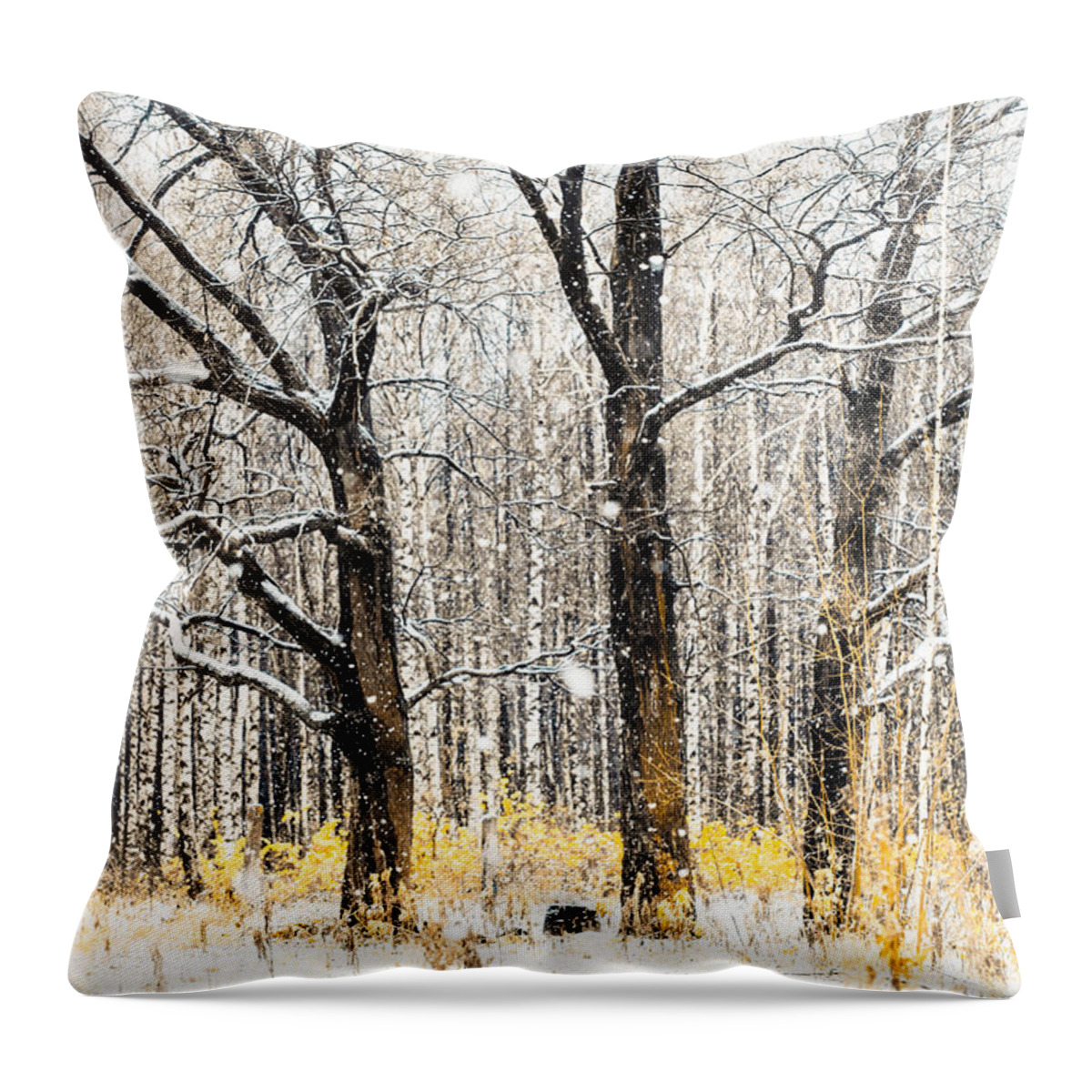 Snow Throw Pillow featuring the photograph First Snow. Tree Brothers by Jenny Rainbow