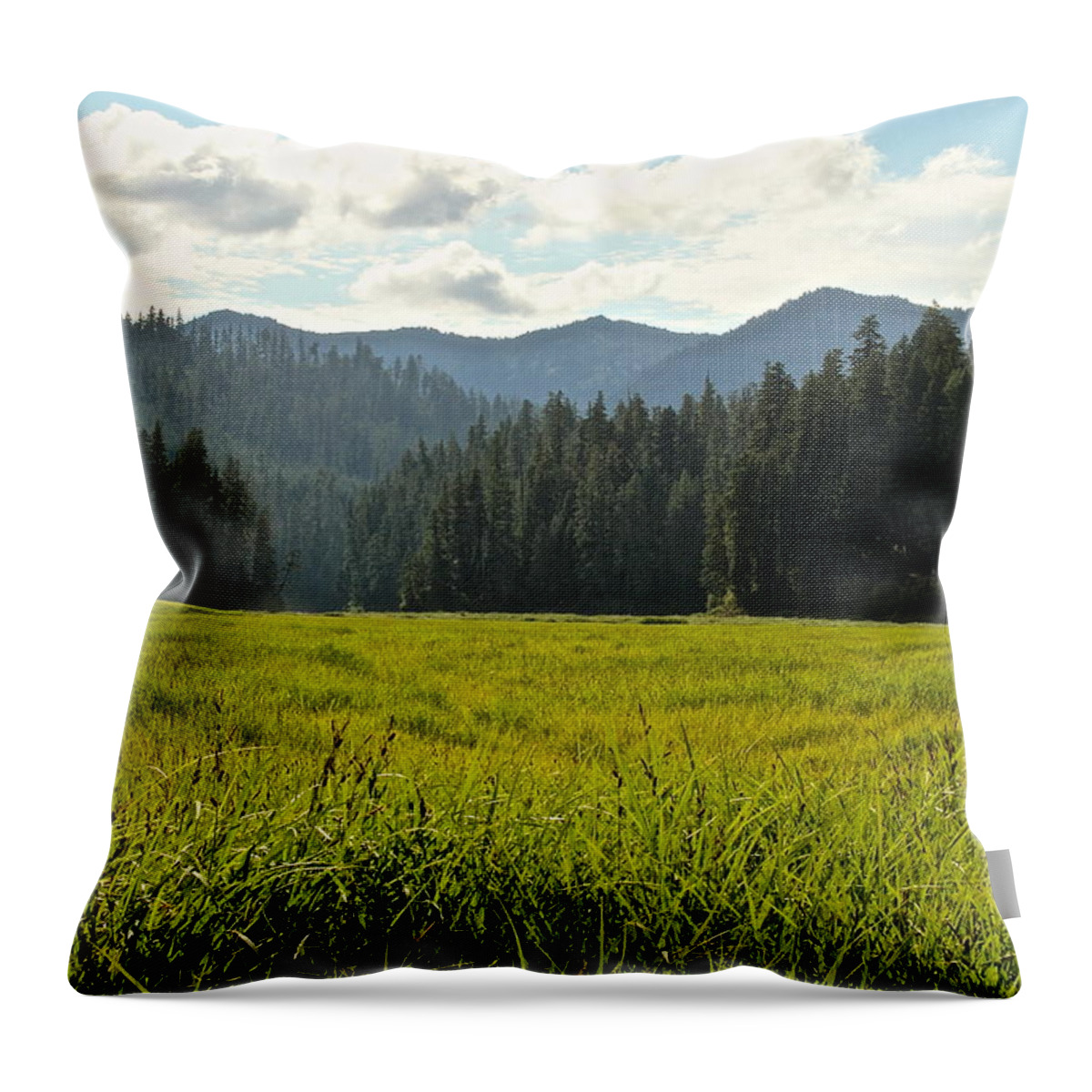 Fish Throw Pillow featuring the photograph Fish Lake - Open Field by Laddie Halupa