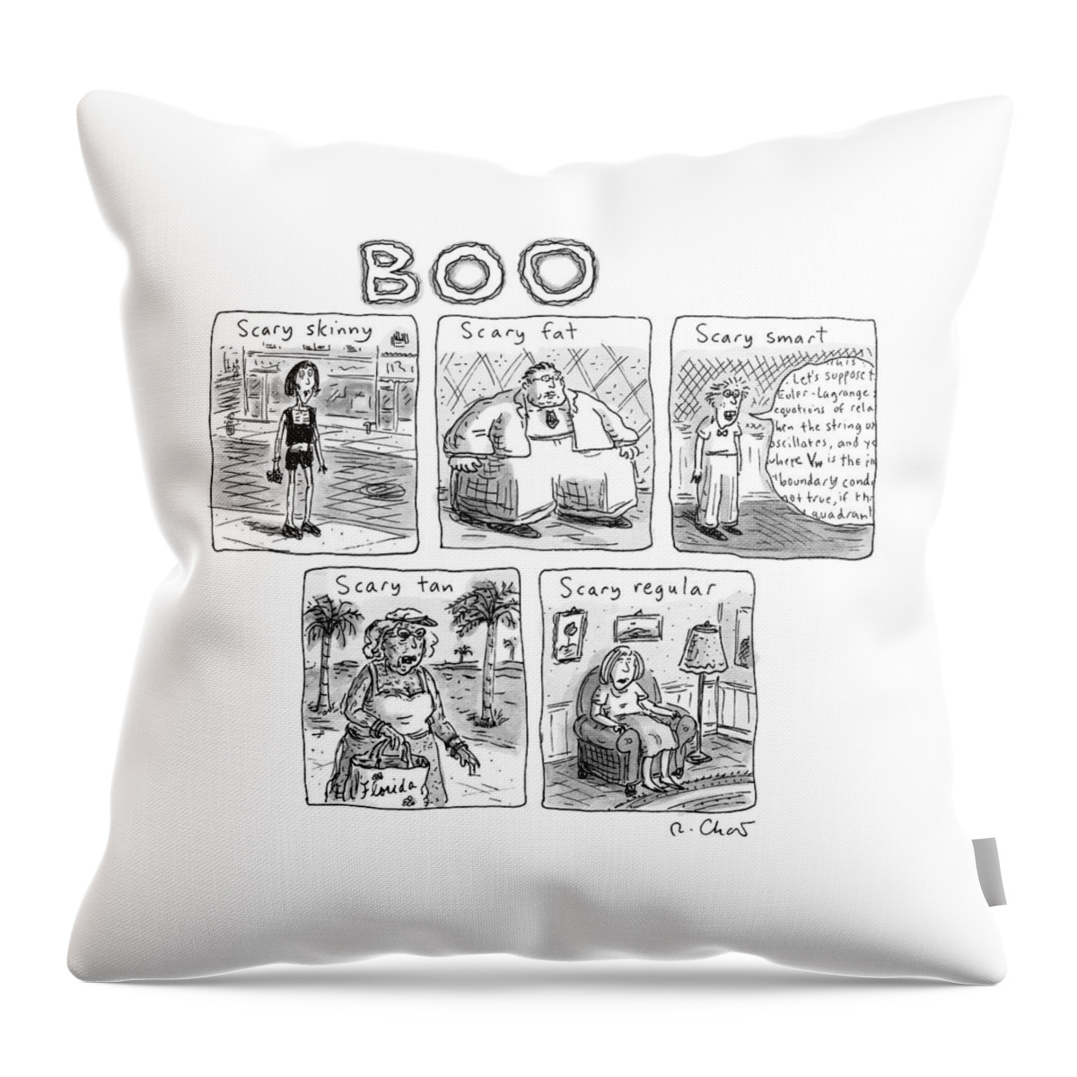 Five Different Pictures Are Shown Below The Title Throw Pillow
