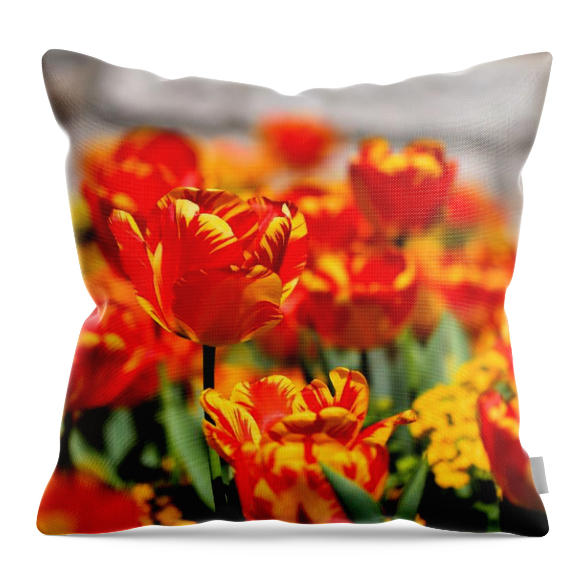 Tulips Throw Pillow featuring the photograph Flame Garden by Katherine White