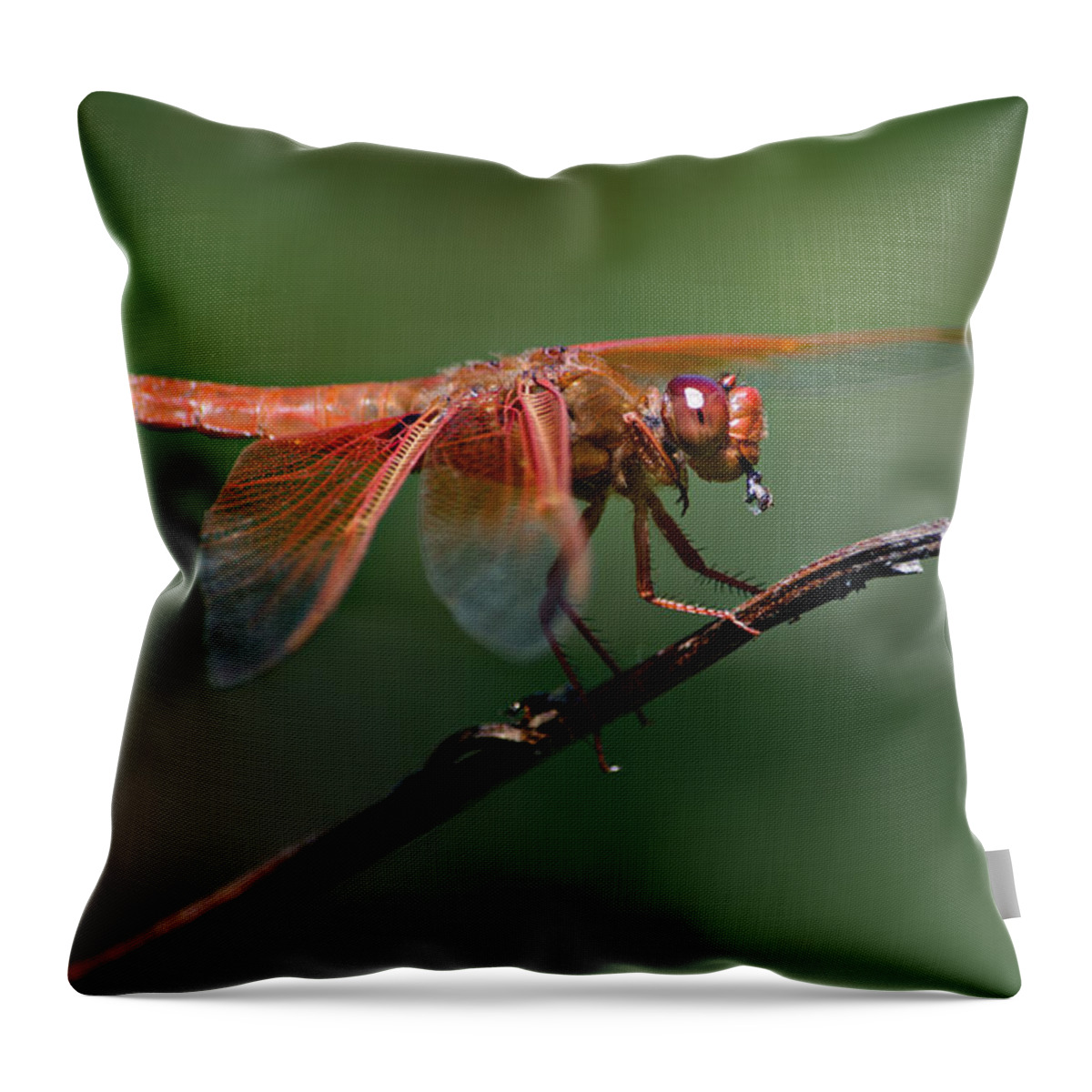 Dragonfly Throw Pillow featuring the photograph Flame Skimmer Dragonfly by Linda Villers