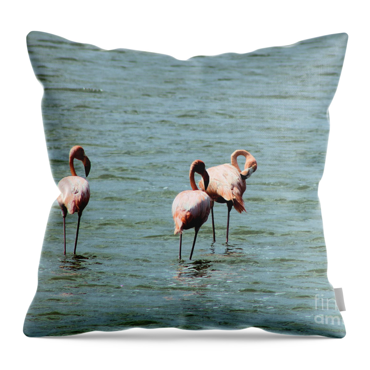 Flamingos Throw Pillow featuring the photograph Flamingos Gathering Together by Christy Gendalia